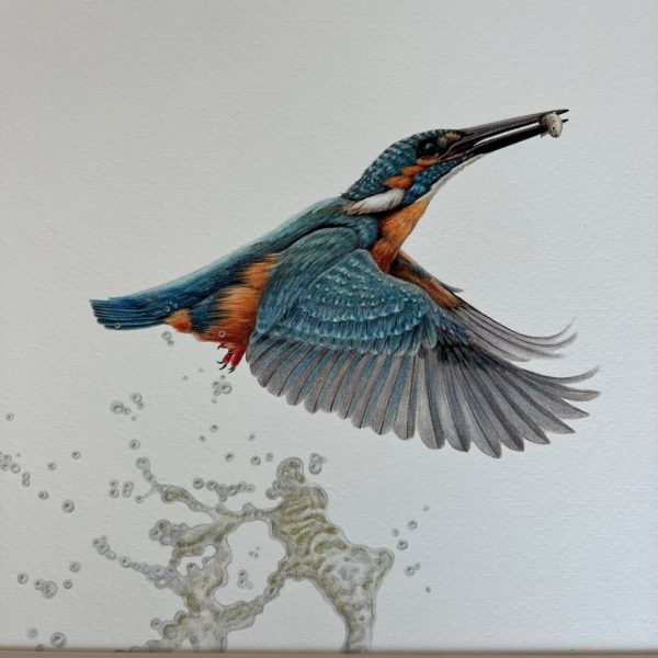 Ingelijste kunstprent 'ijsvogel met Visje' 30x30cm - Afbeelding 2