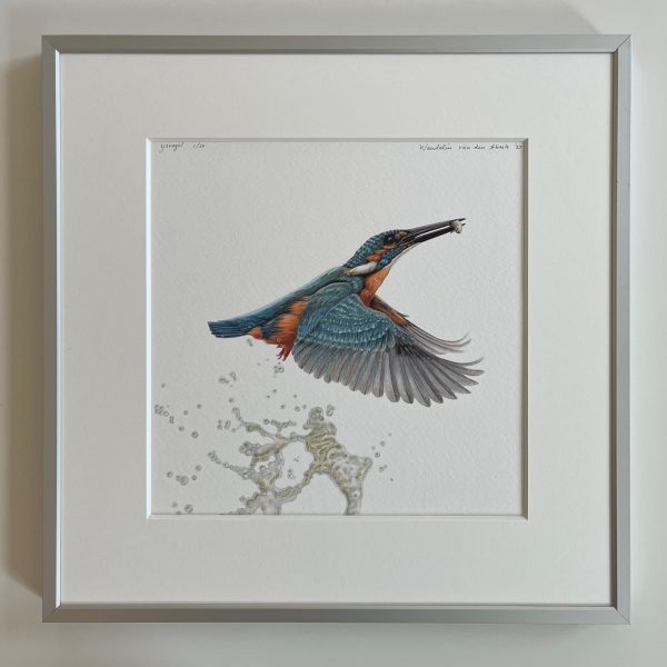 Ingelijste kunstprent 'ijsvogel met Visje' 30x30cm