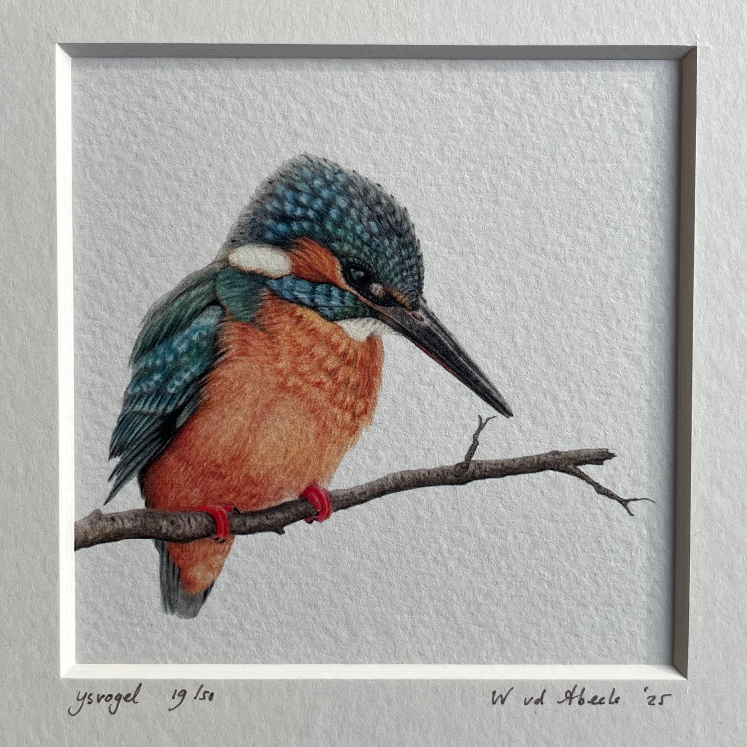 Ingelijst kunstprentje IJsvogel, 16x16cm - Afbeelding 2