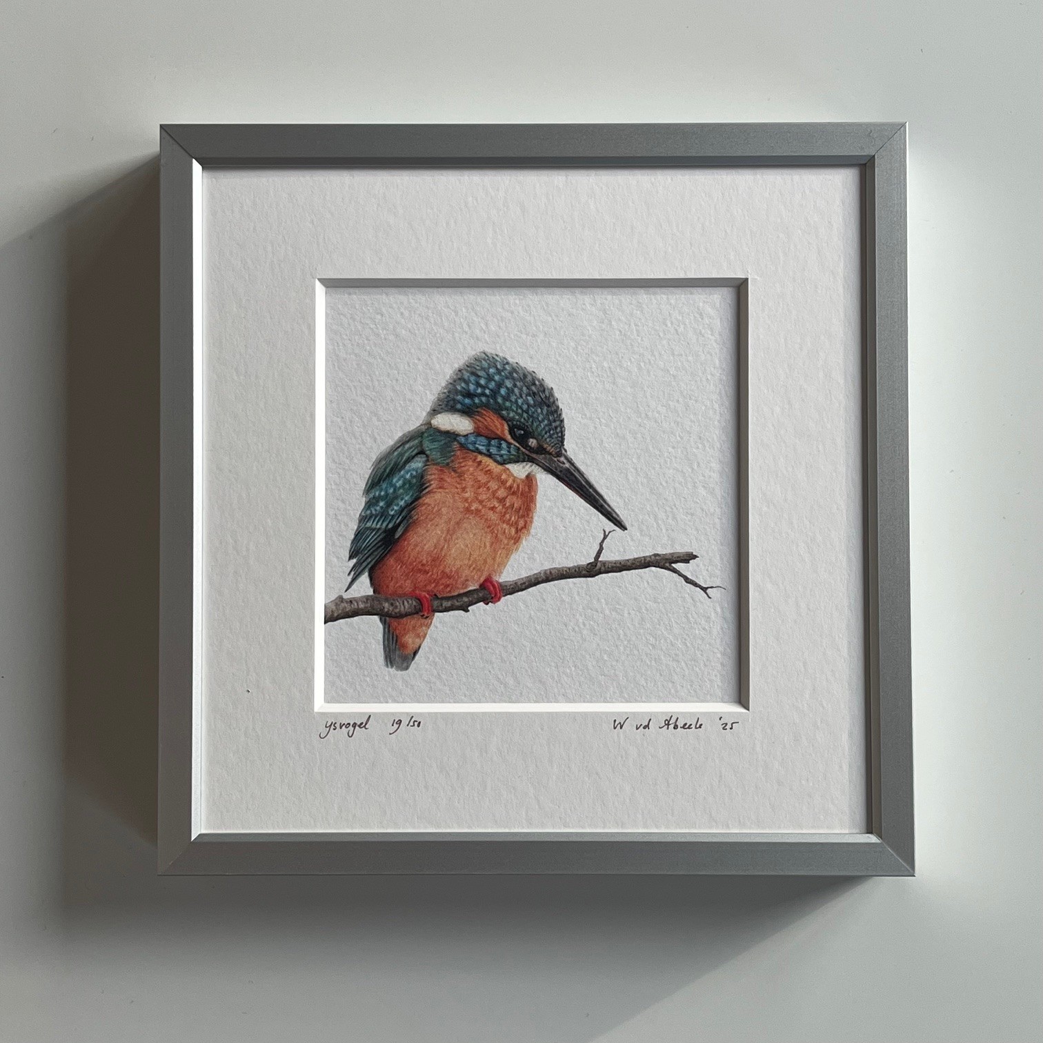 Ingelijst kunstprentje IJsvogel, 16x16cm