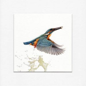 Kunstprent IJsvogel met visje, gesigneerd en gelimiteerde oplage