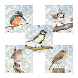 Kerstkaarten met vogelillustraties, set van 10, incl. 10 rode enveloppen.