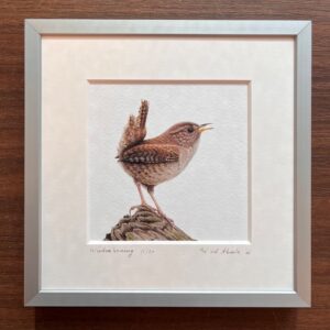 Ingelijst kunstprentje Winterkoninkje, 16x16cm