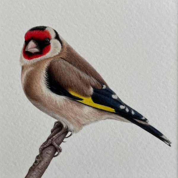 Ingelijst kunstprentje Putter, 16x16cm - Afbeelding 2
