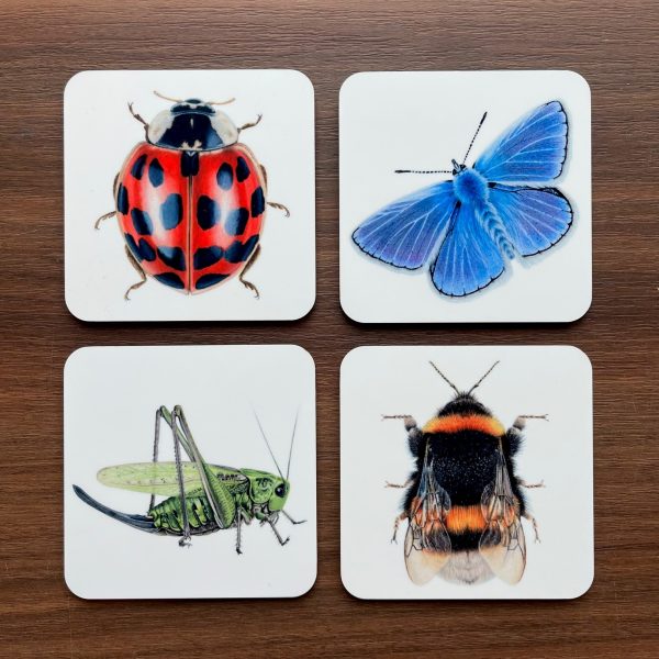 Set van 4 luxe onderzetters met insect-illustraties